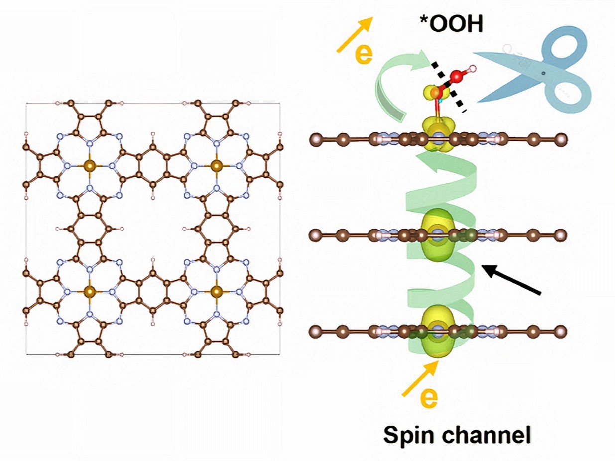 TOC figure from Yun Li's work on iron phthalocyanine covalent organic frameworks